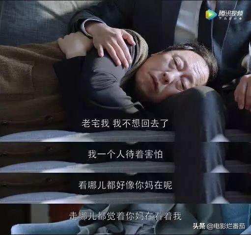 倪大紅