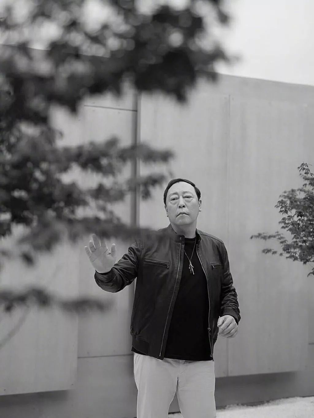 倪大紅