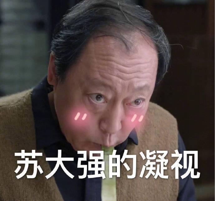 倪大紅
