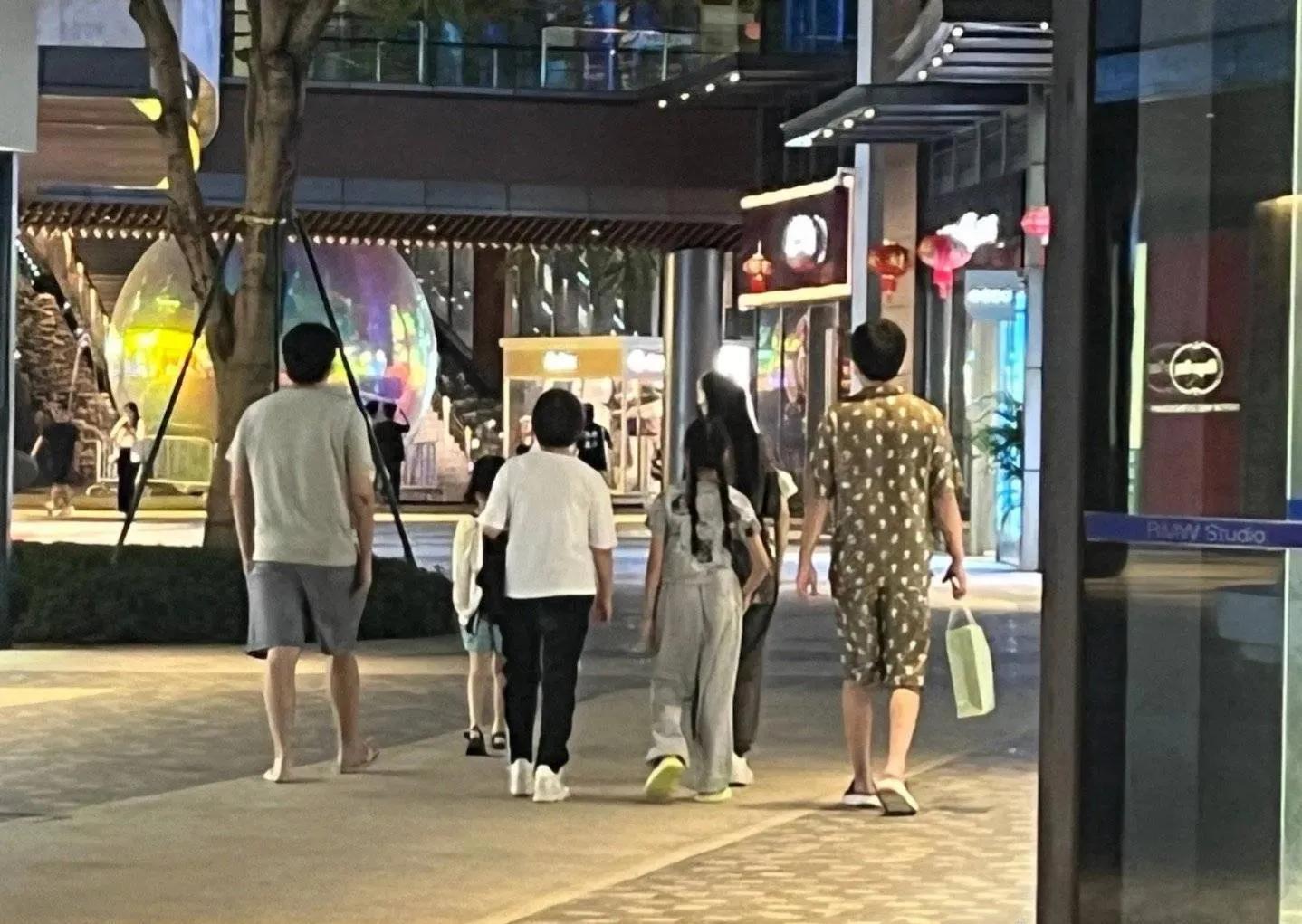 雷佳音