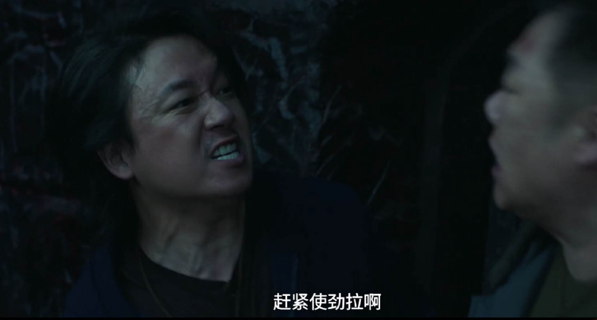 雷佳音