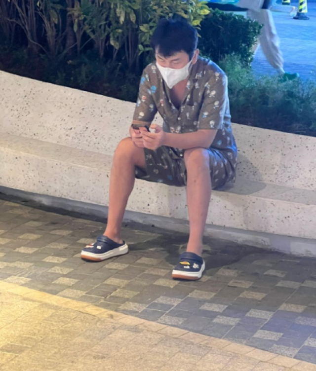 雷佳音