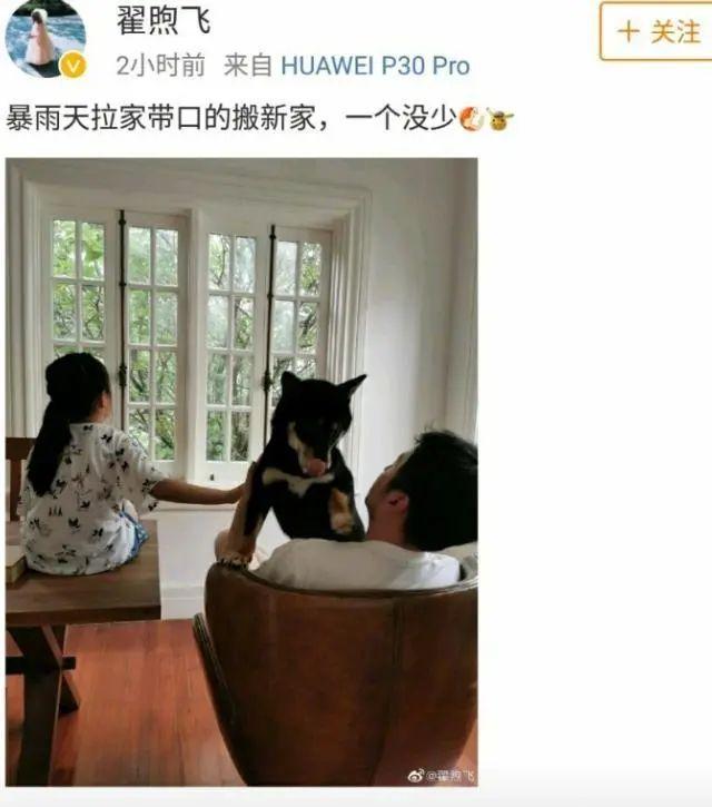 雷佳音