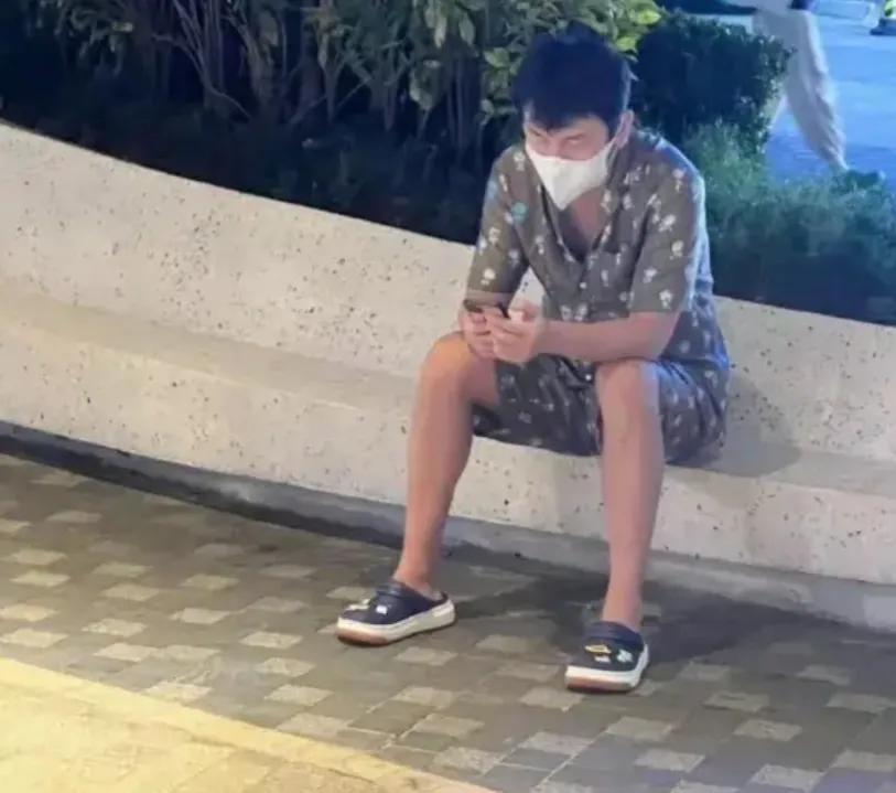 雷佳音