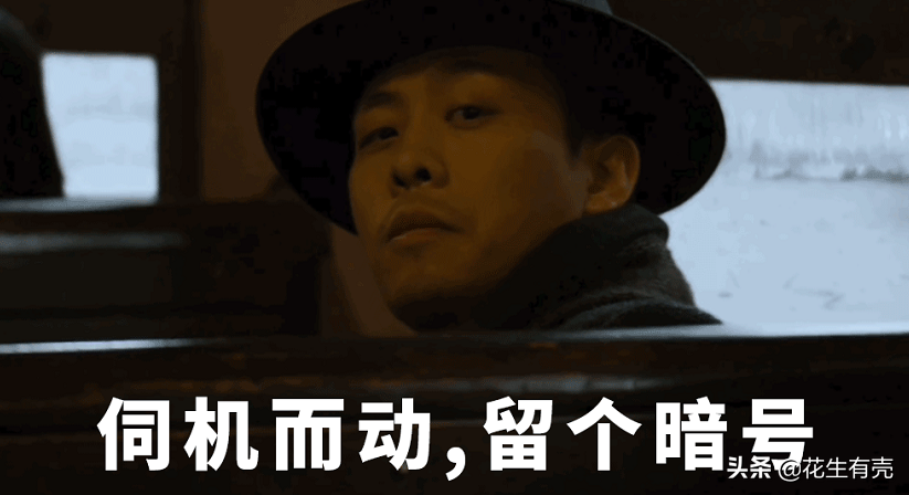 倪大紅