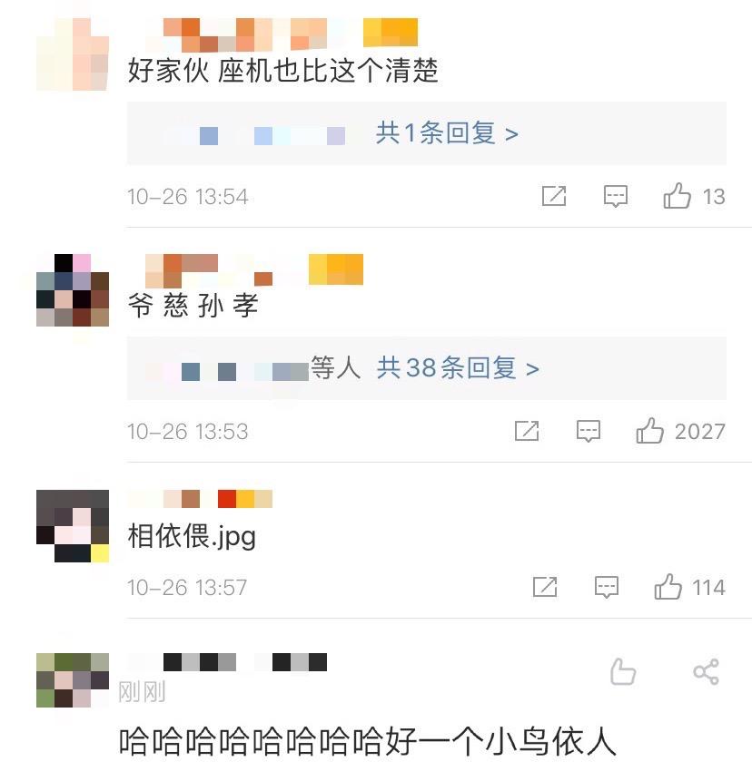 倪大紅