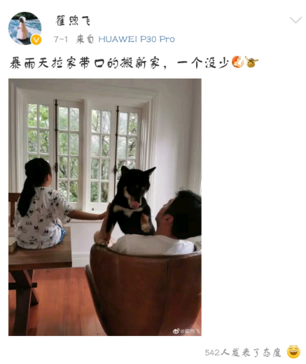 雷佳音