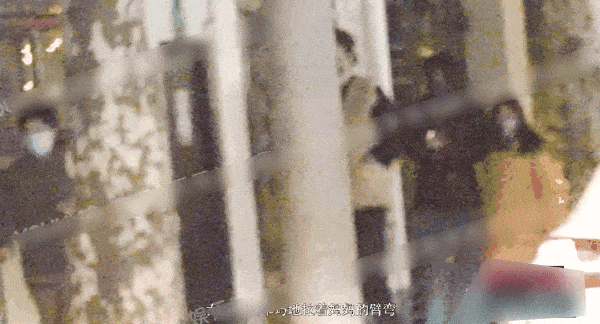 雷佳音