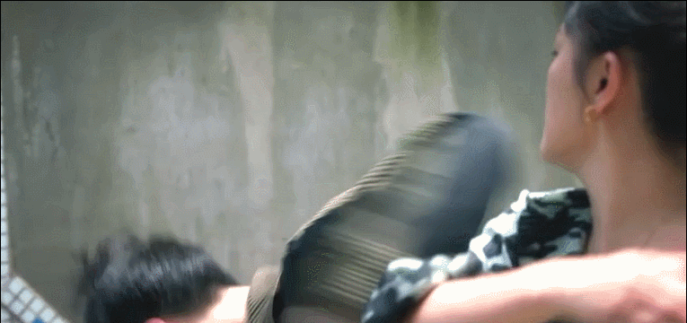 雷佳音