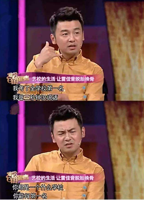 雷佳音