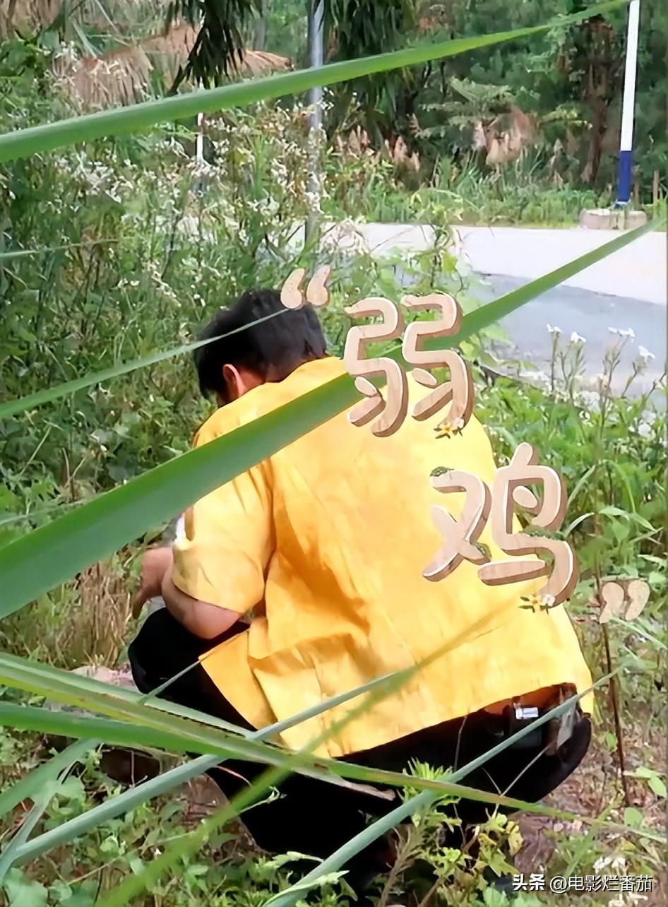 殷桃