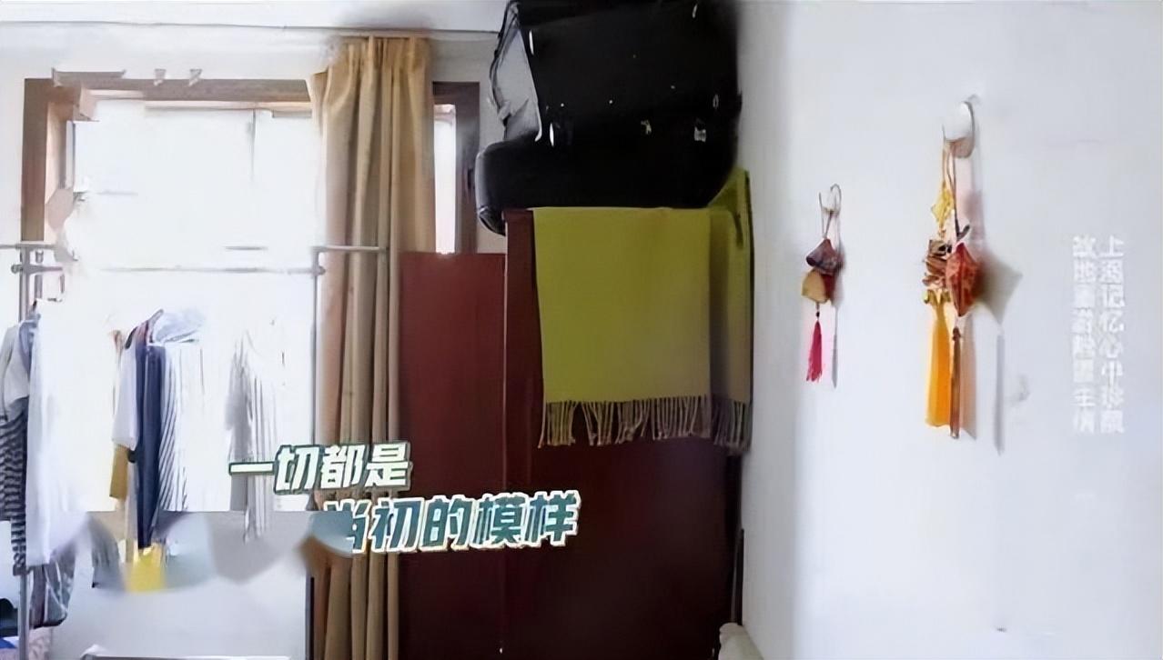 雷佳音