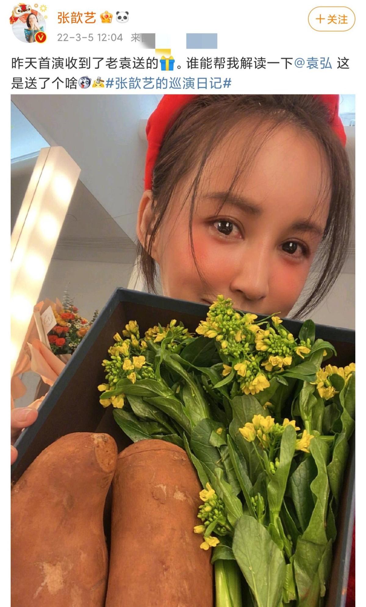 張歆藝