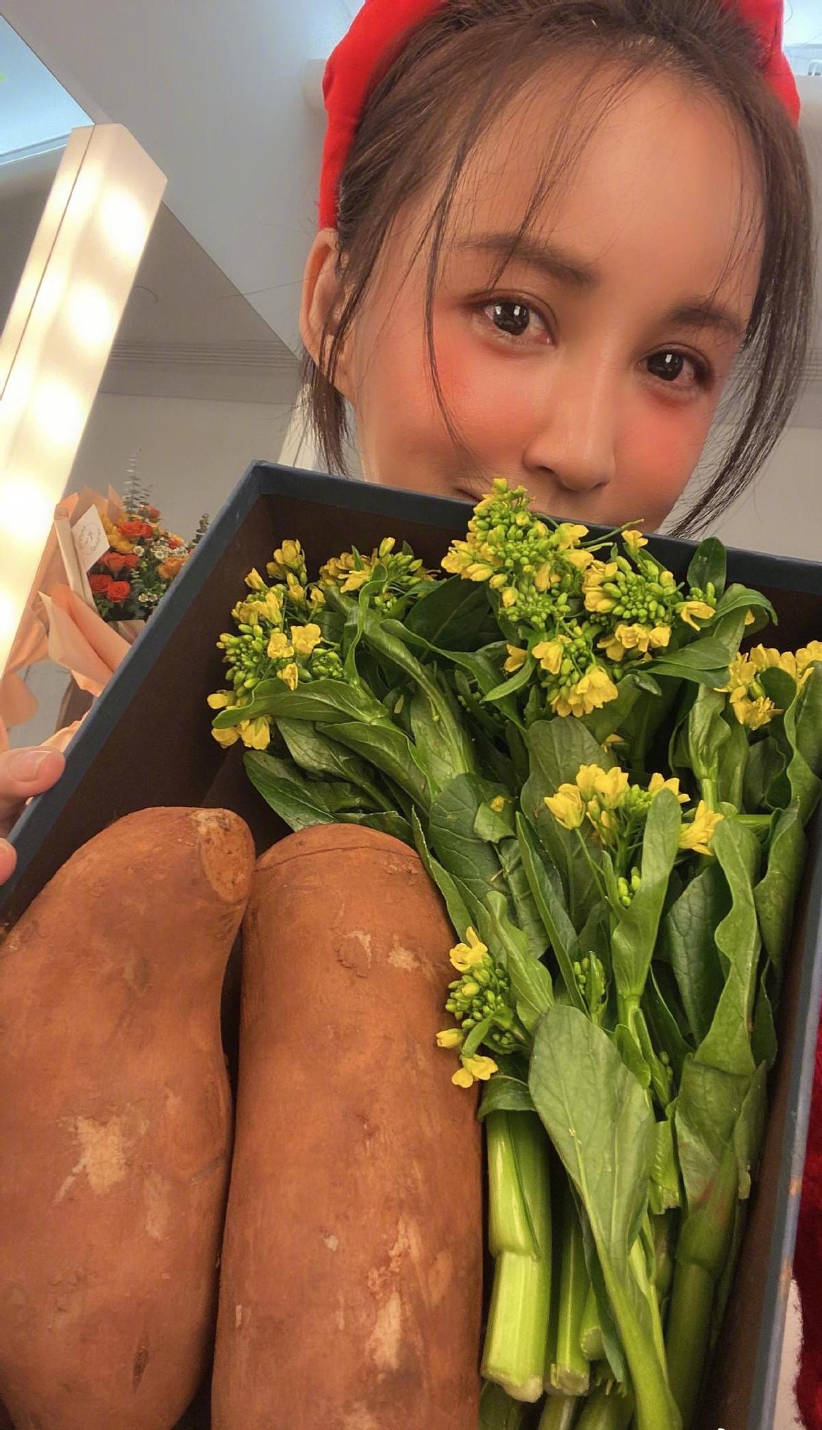 張歆藝