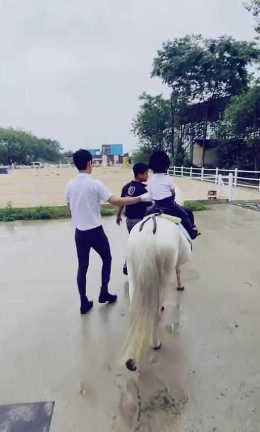 張歆藝