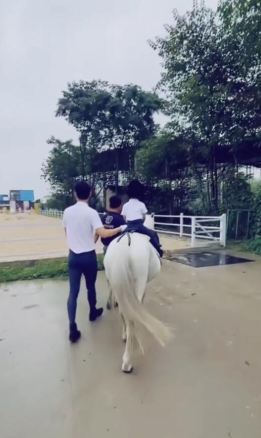 張歆藝