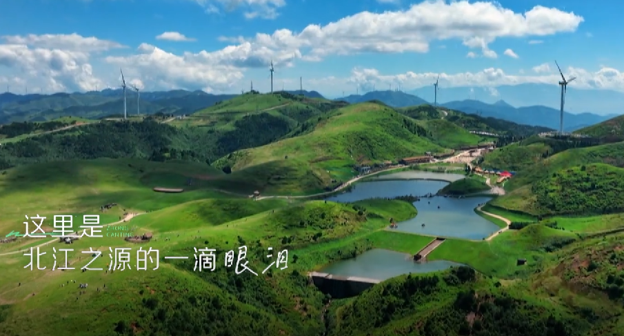 殷桃