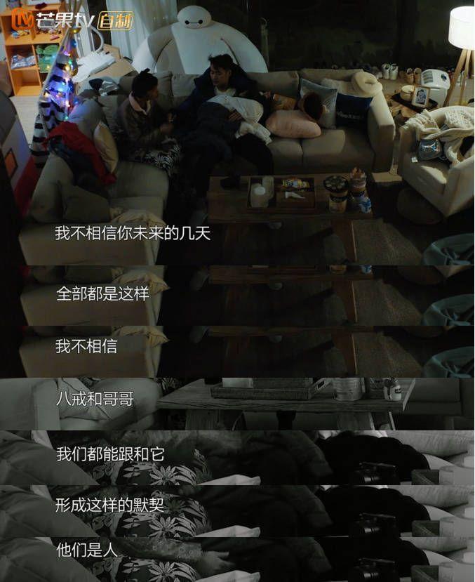 袁弘