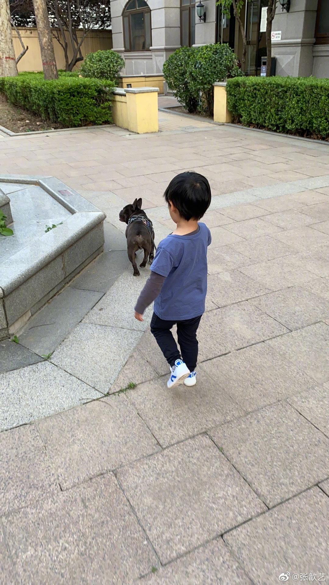 張歆藝
