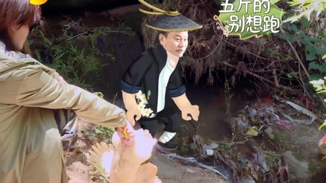 殷桃