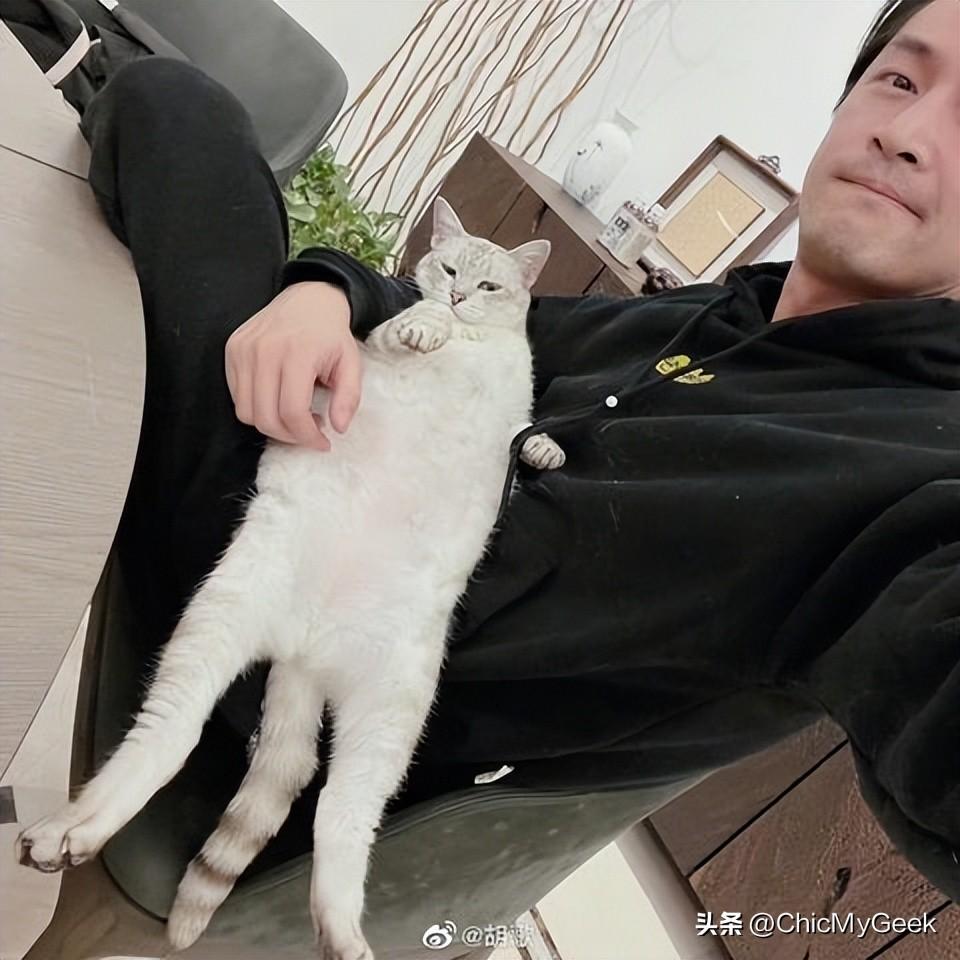 胡歌