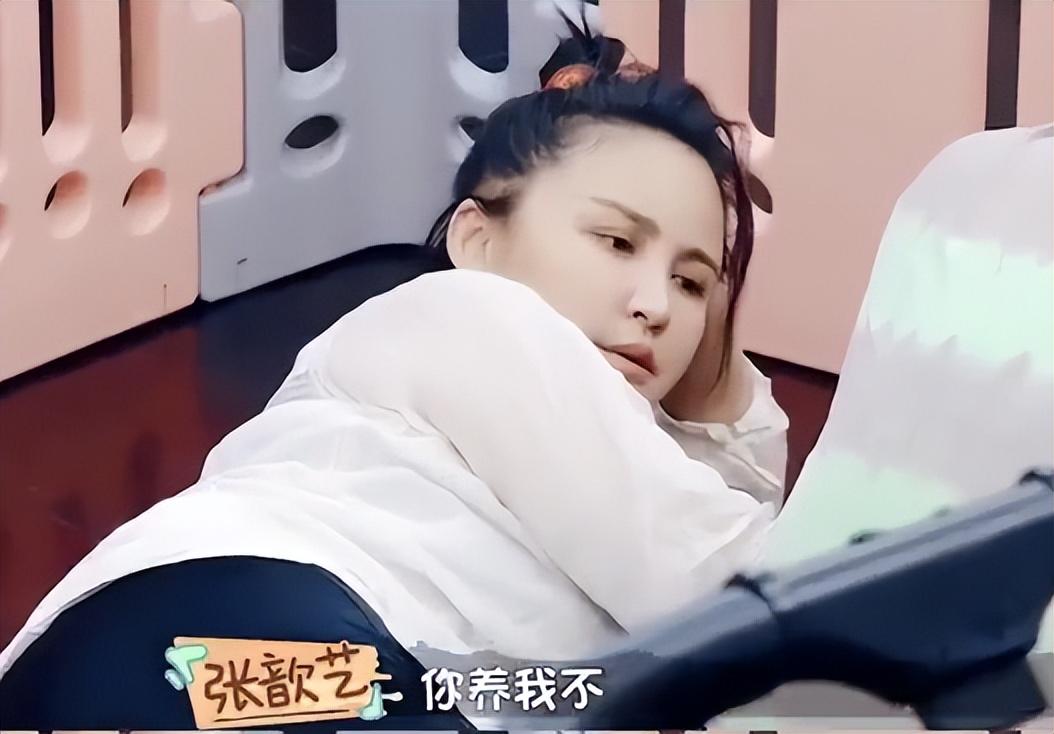 袁弘