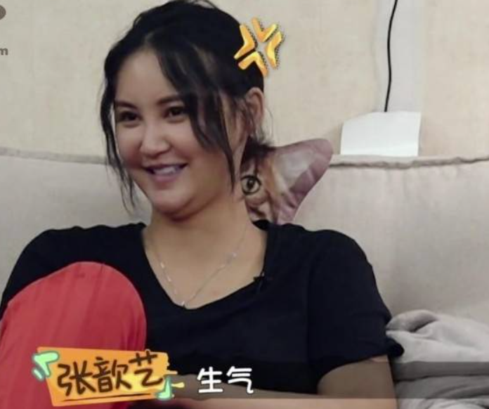 張歆藝
