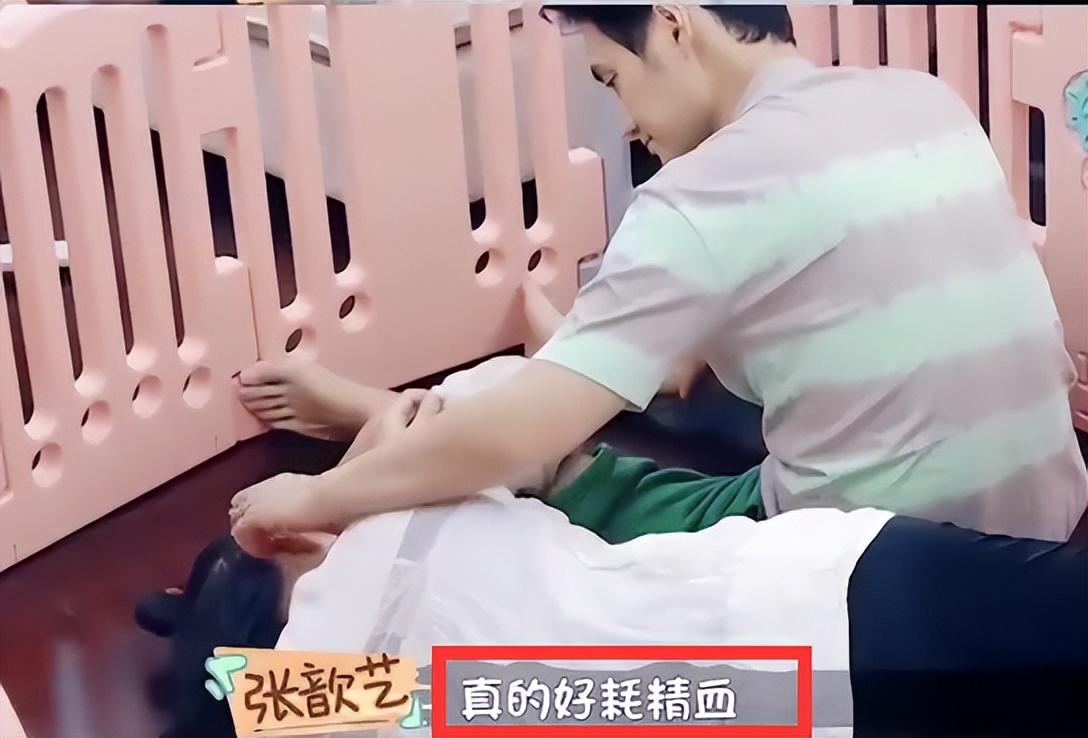 袁弘