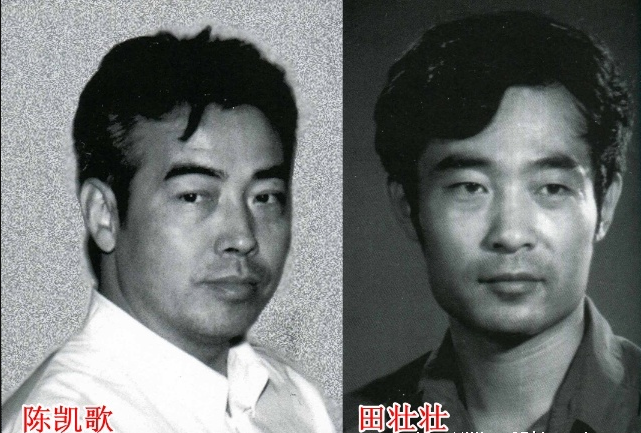 田壯