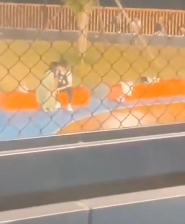 劉濤