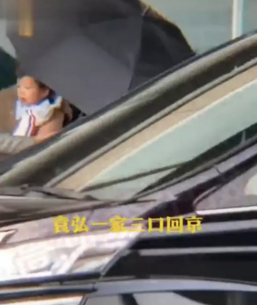 袁弘