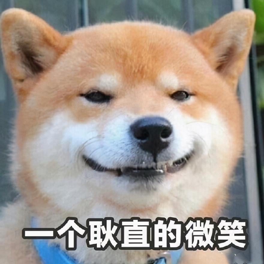 袁弘