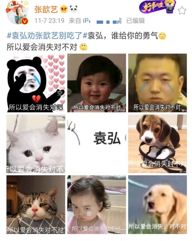 袁弘