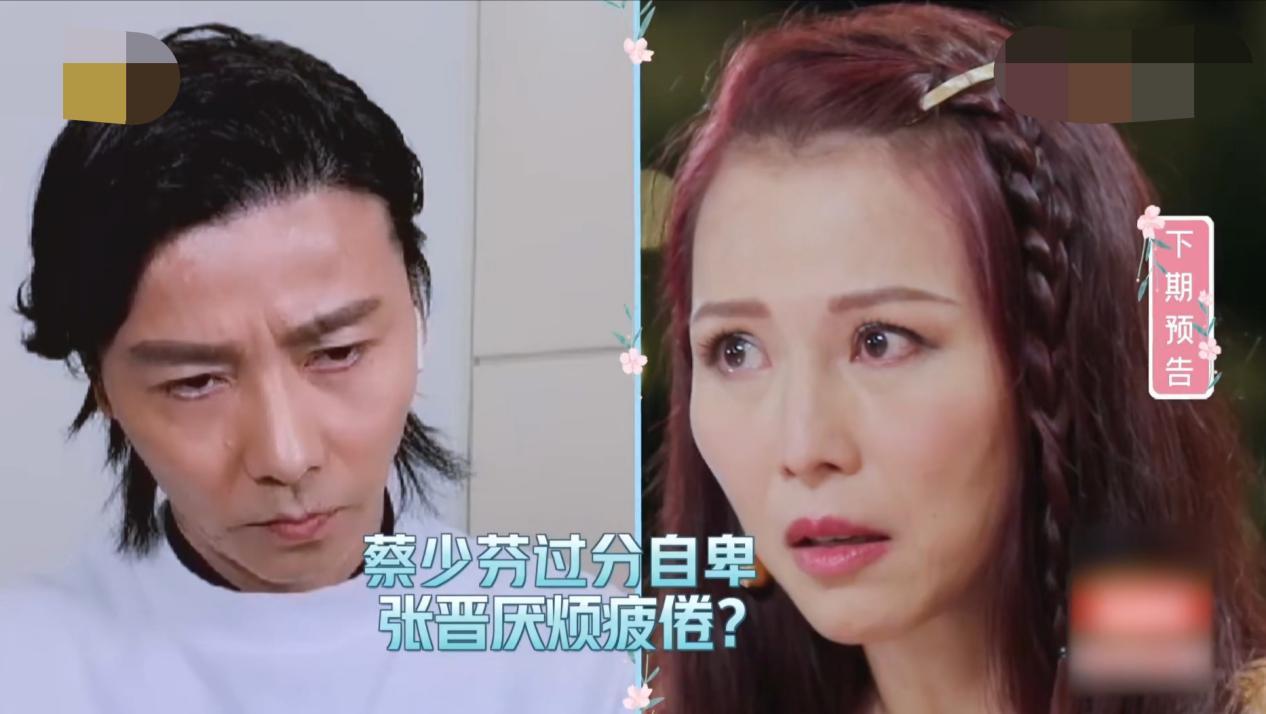 張歆藝