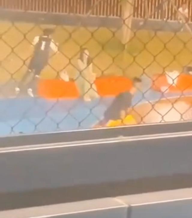 劉濤