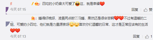 袁弘