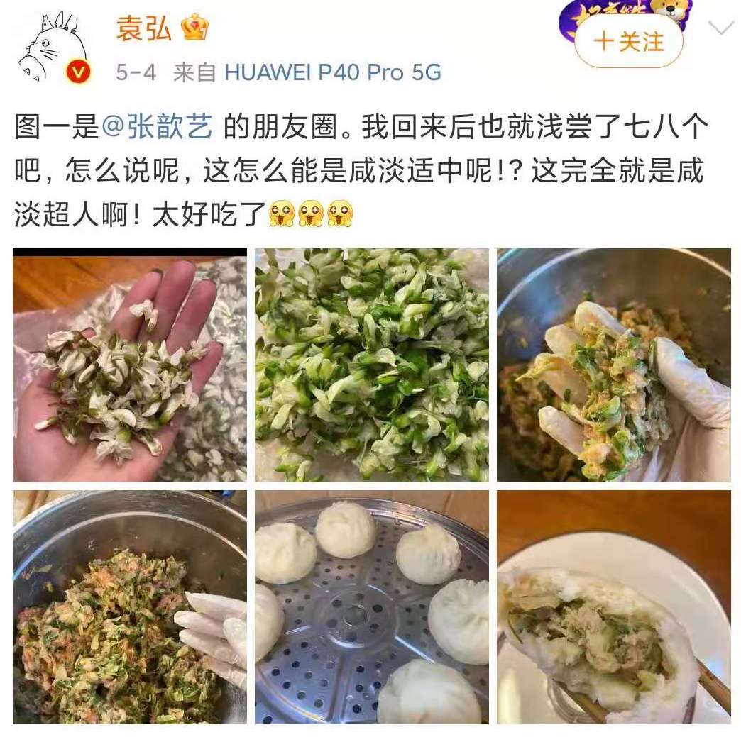 張歆藝