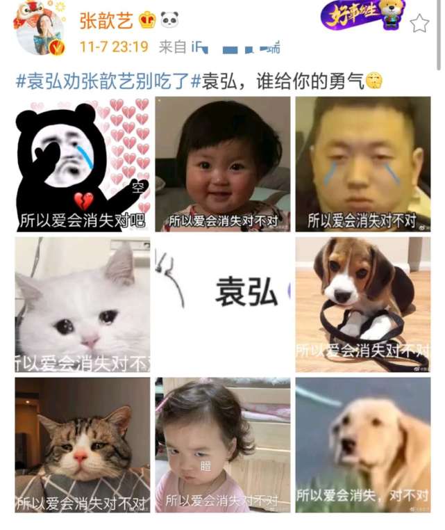 袁弘