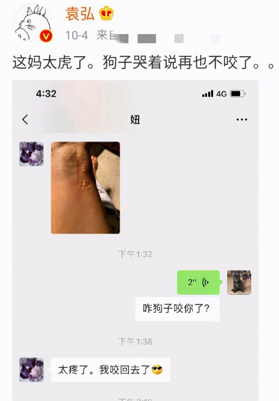 張歆藝