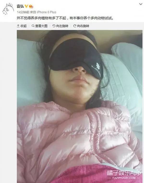 袁弘