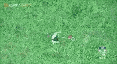 彭昱暢