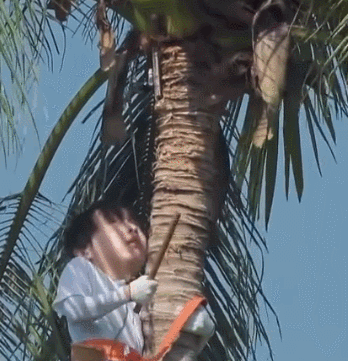 彭昱暢