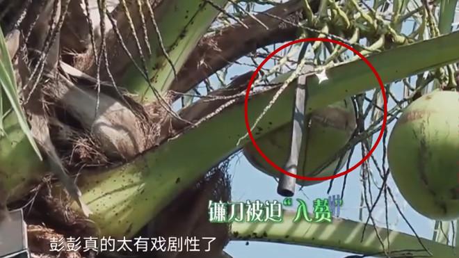 彭昱暢