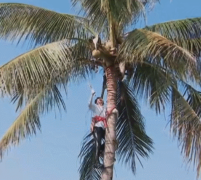 彭昱暢