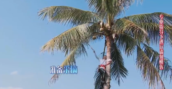 彭昱暢