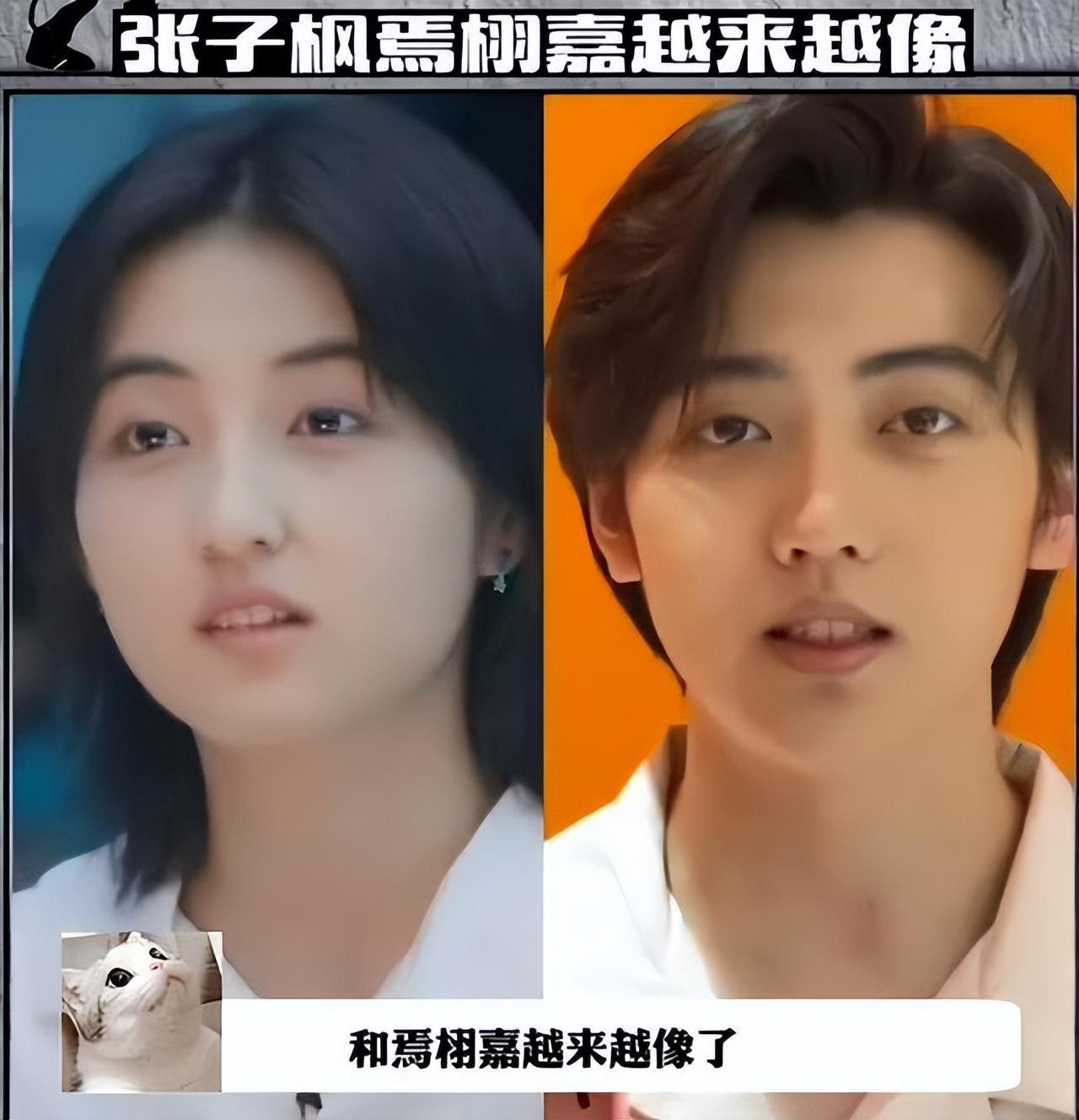 張子楓