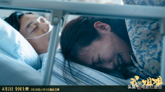 張子楓
