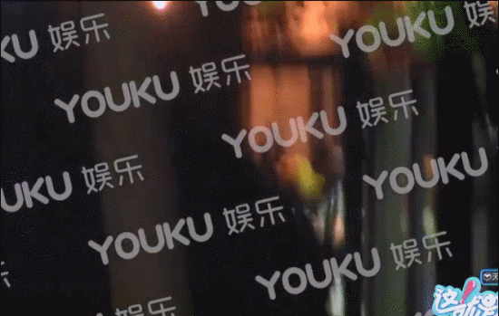 胡先煦