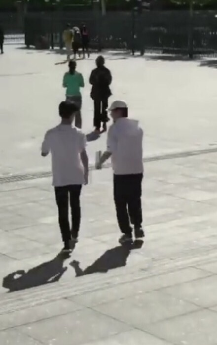 胡先煦