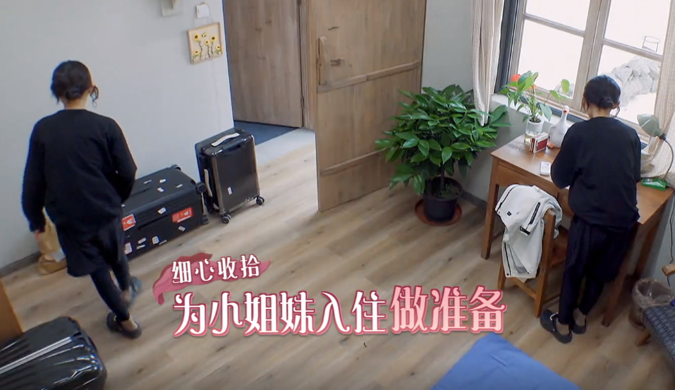 張子楓